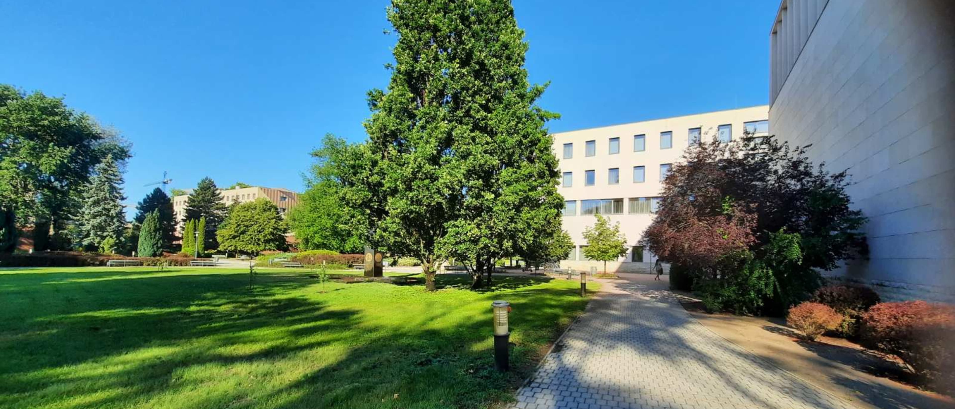 Image for Agricultural Engineering BSc