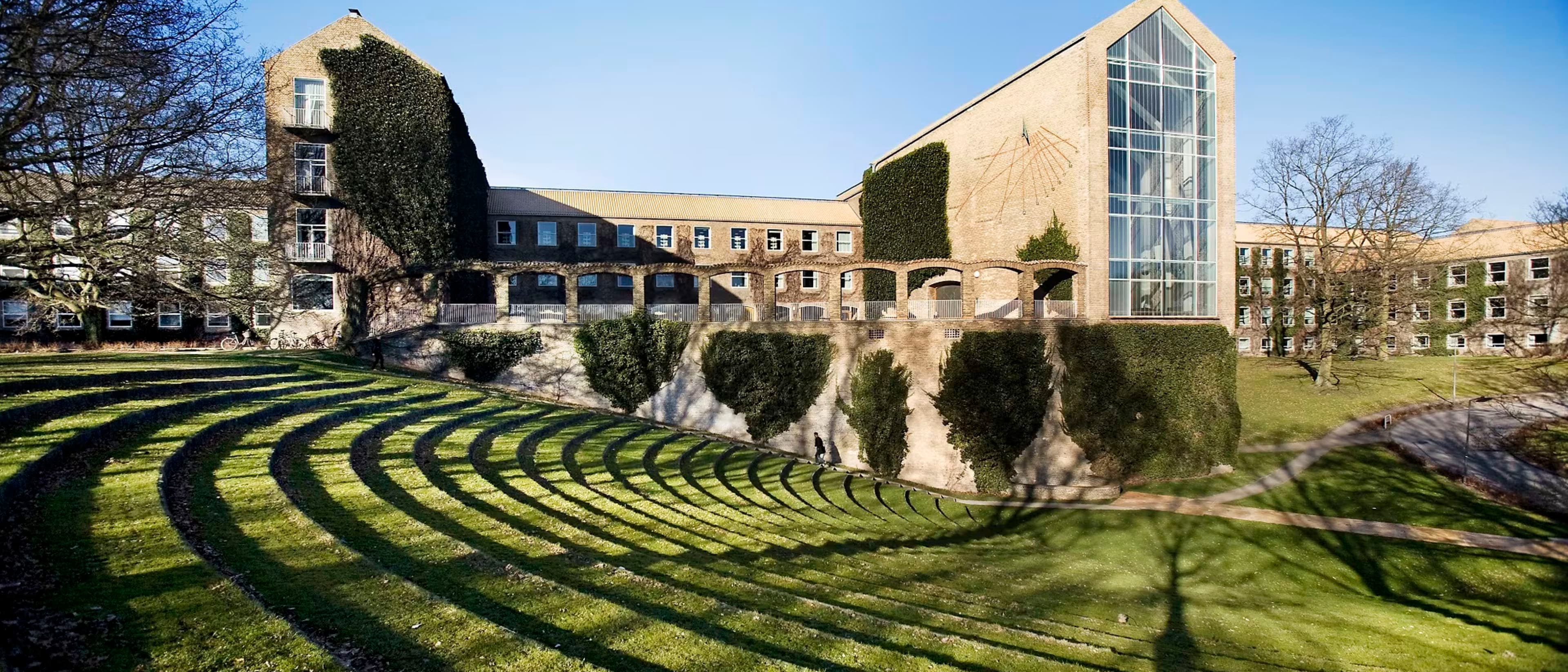 Image for BSc in Cognitive Science