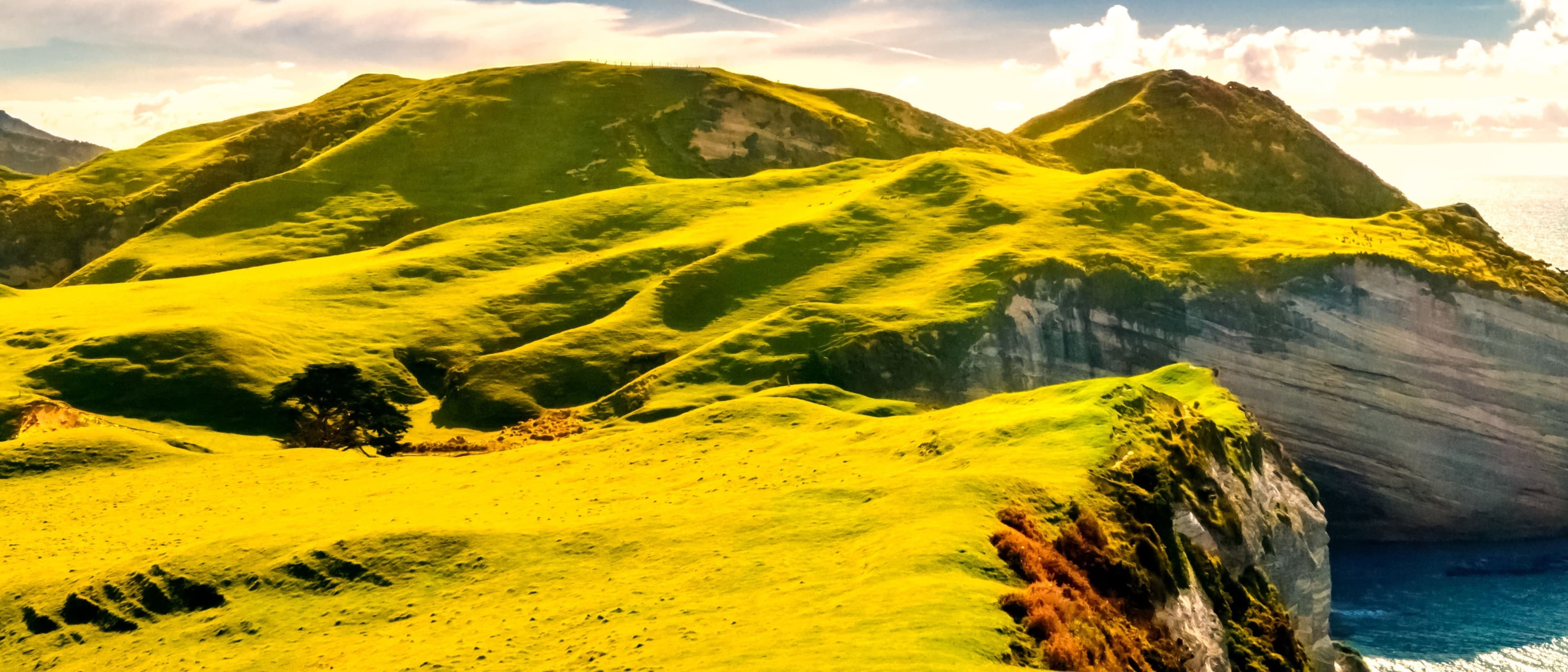 Image for B.Ed in Montessori Education