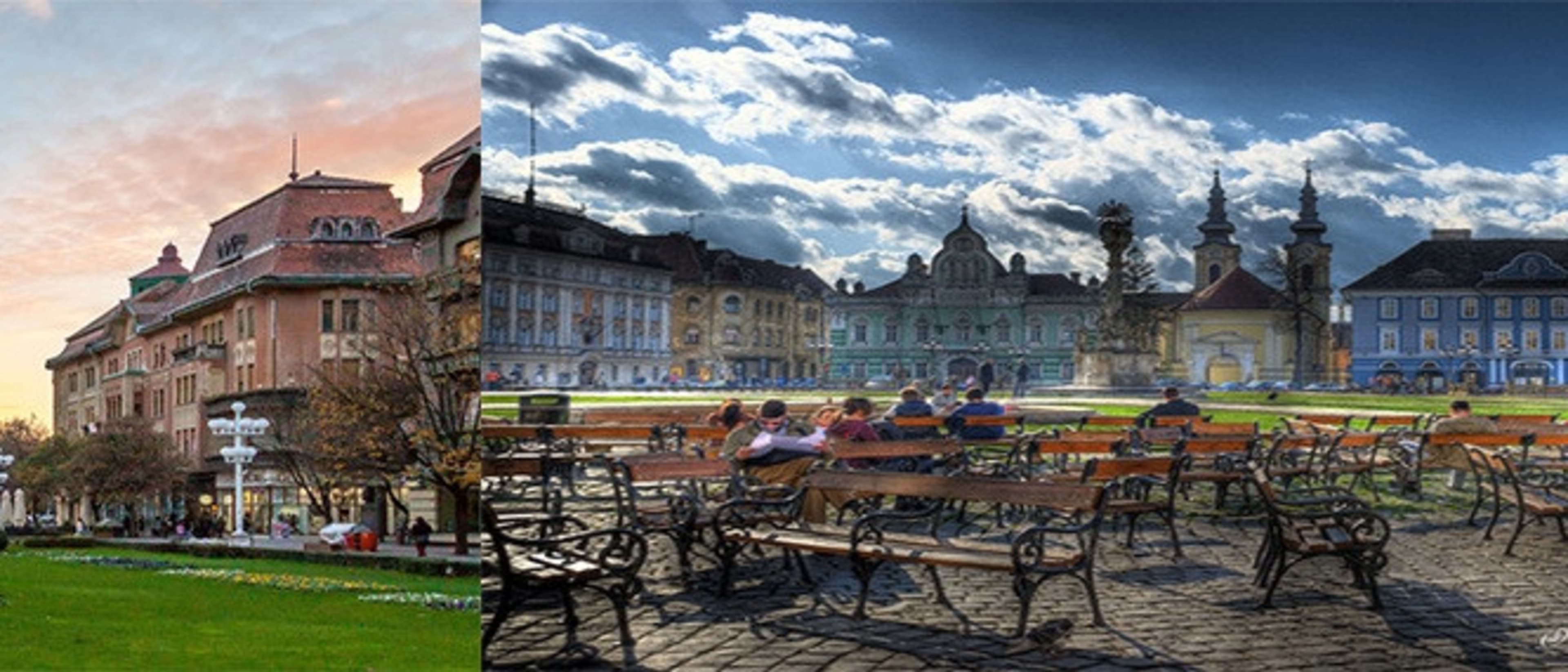 Image for Bachelor in Agriculture